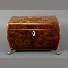 Regency Burr Tea Caddy - Yew Wood